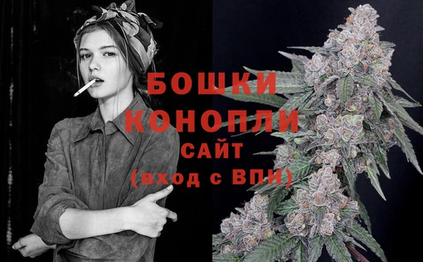 2c-b Вяземский