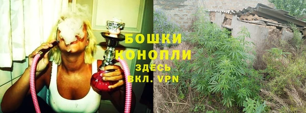 2c-b Вяземский