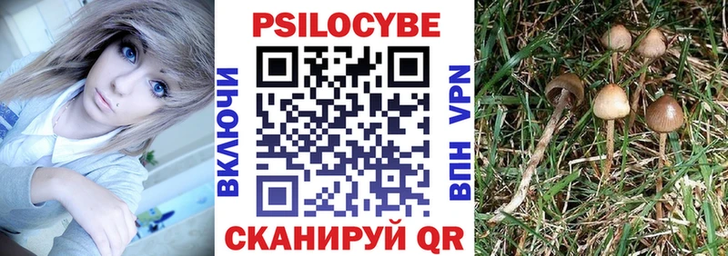 Галлюциногенные грибы Magic Shrooms  Купить закладки  Лесной 
