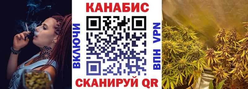 Бошки Шишки индика Лесной
